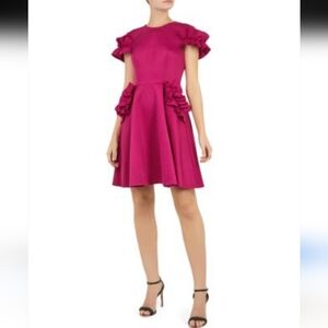 Ted Baker London Luuciee Ruffle Skater Dress In Deep Pink Size US 2 (TB 0)